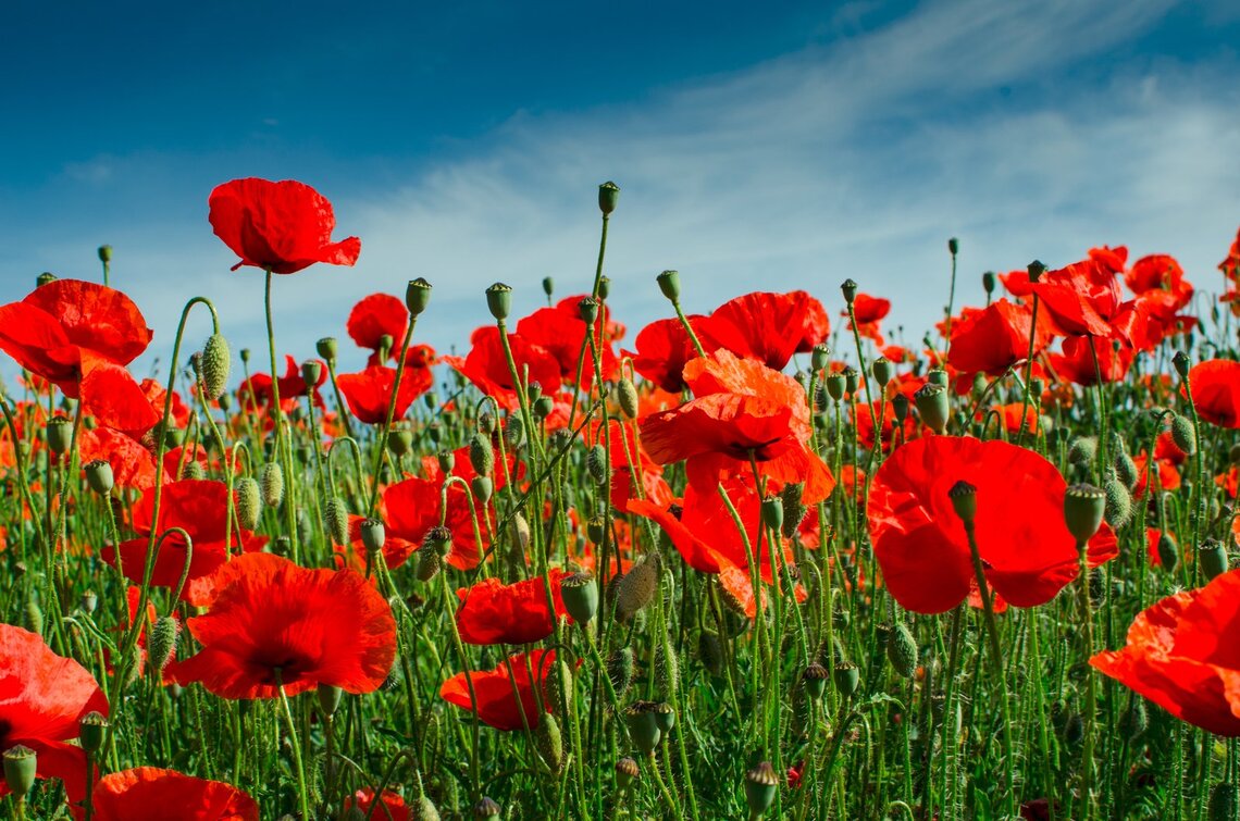 Rememberance
